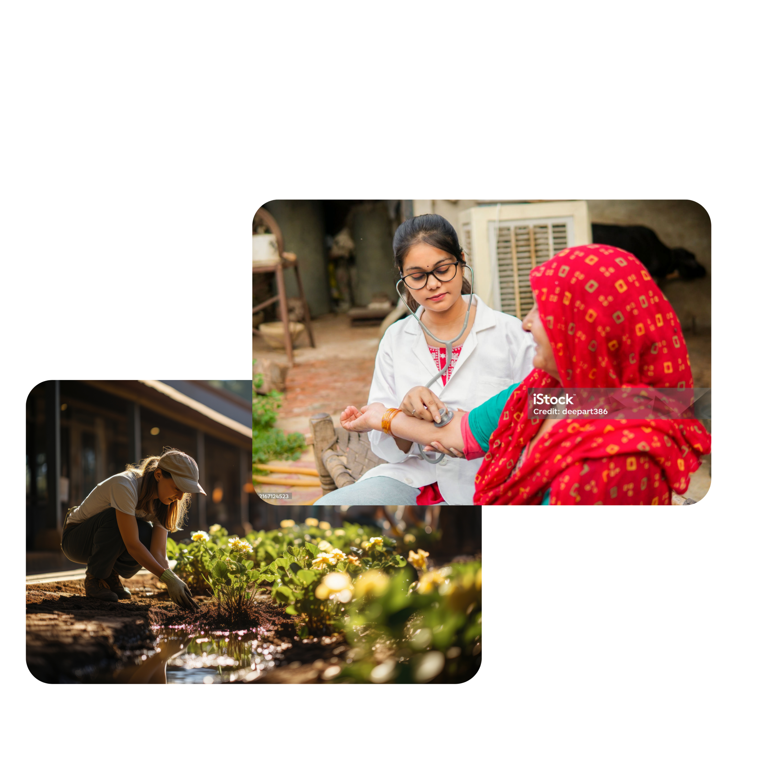 PURPOSE DEFINITION & EMBEDDED IMPACT