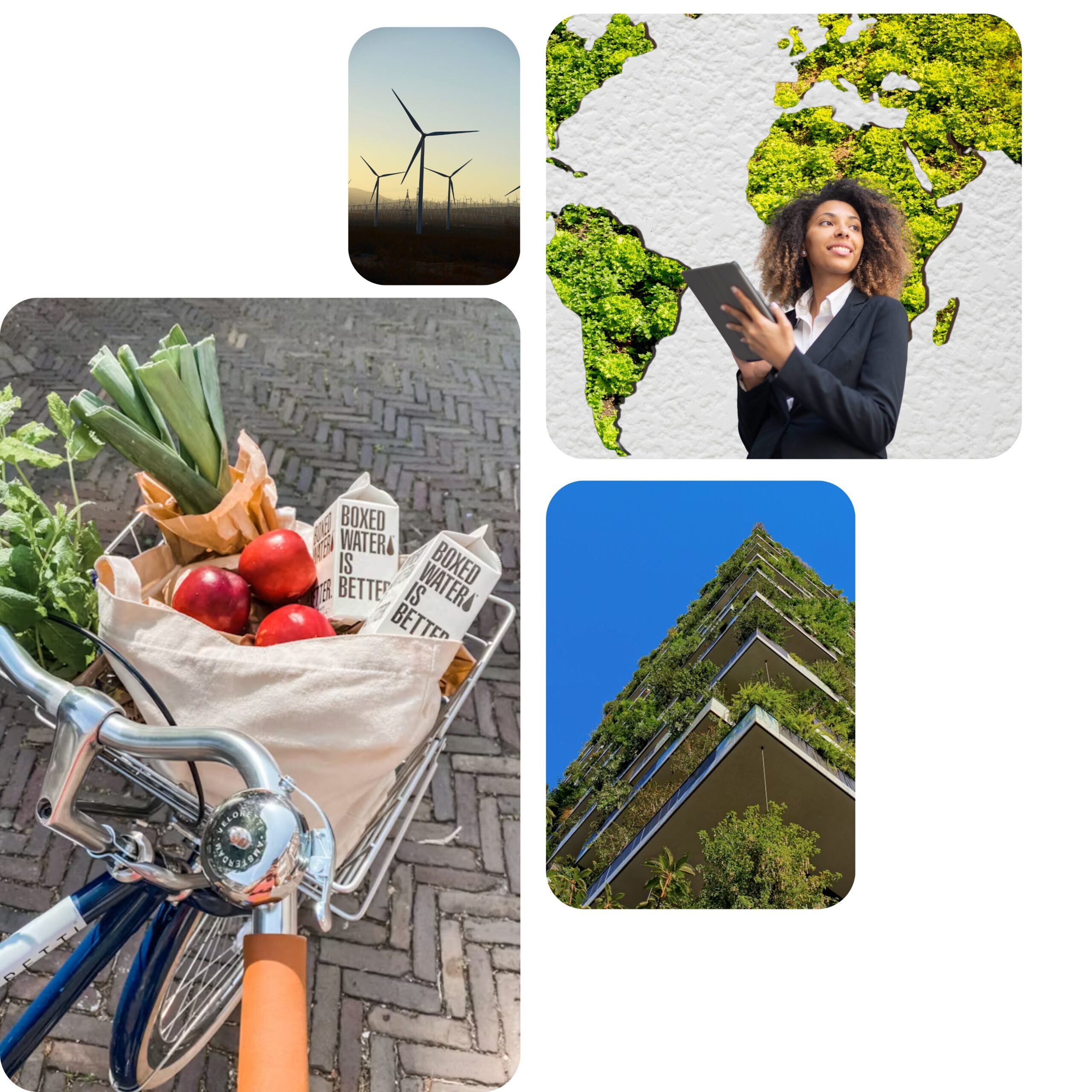 GROWTH & MARKETING STRATEGY