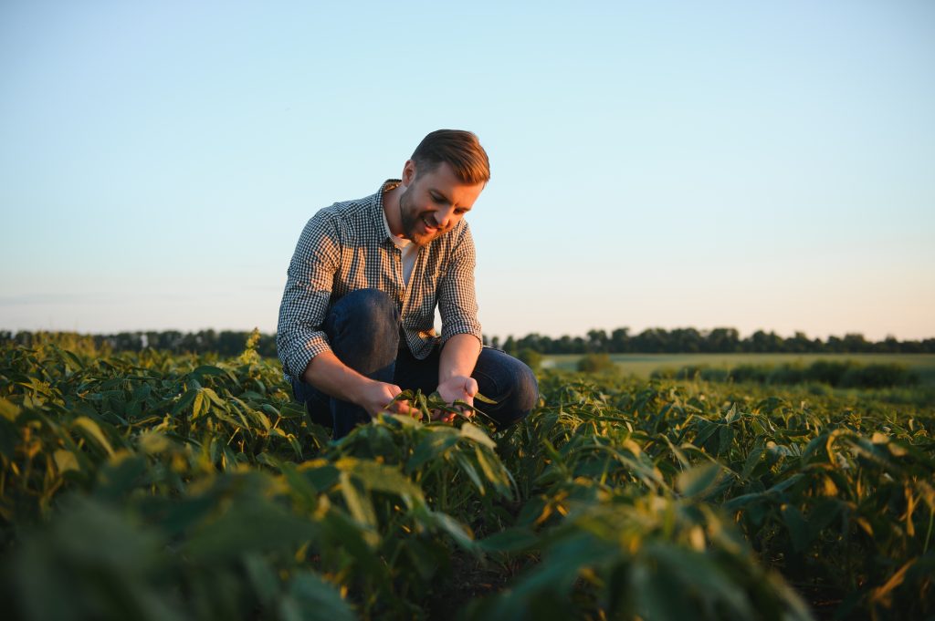 Farmer tending a field at sunrise