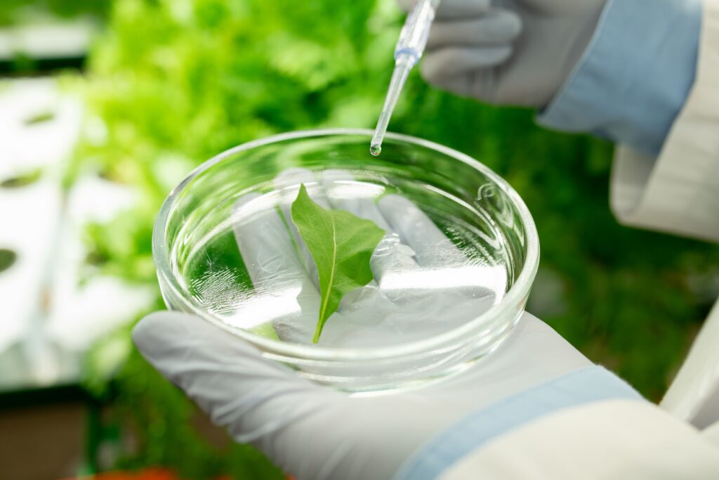 person handling a biomaterial or biodegradable packaging
